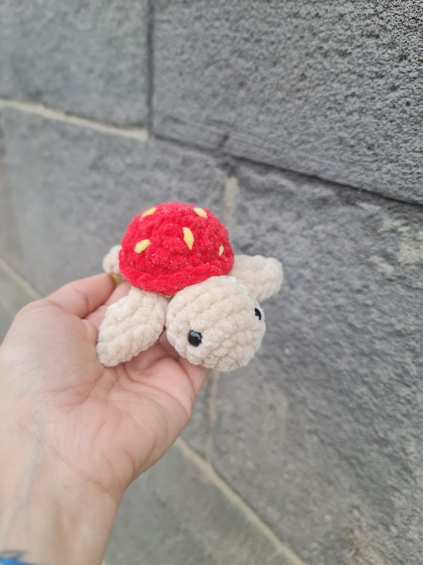 Mini tortue fraise