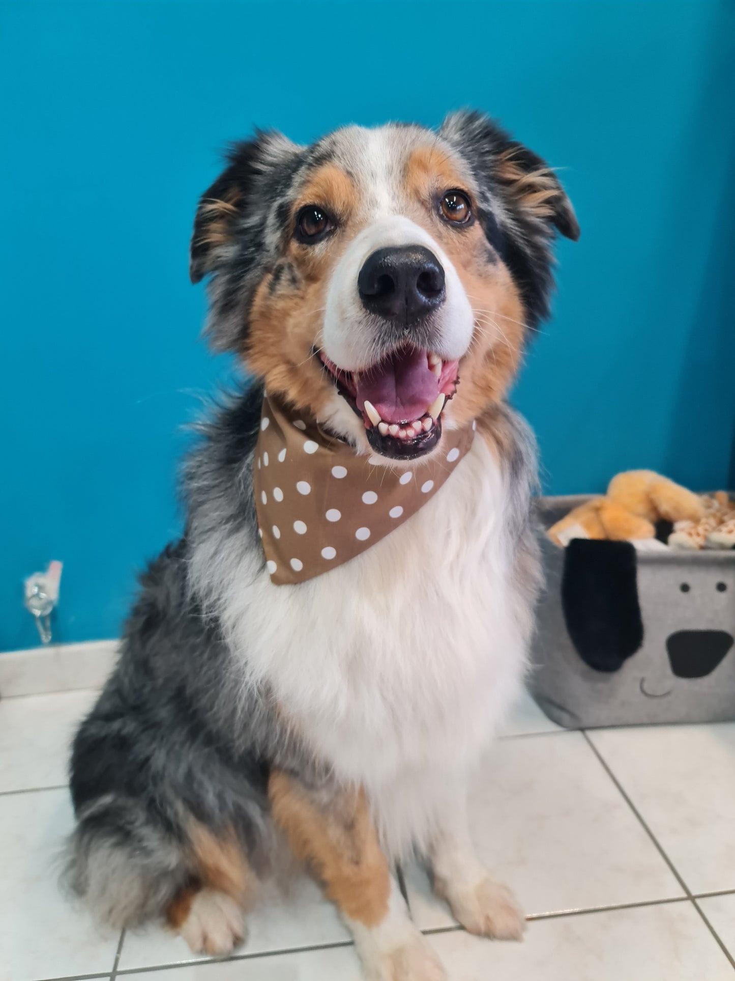 Bandana (Marron à pois)