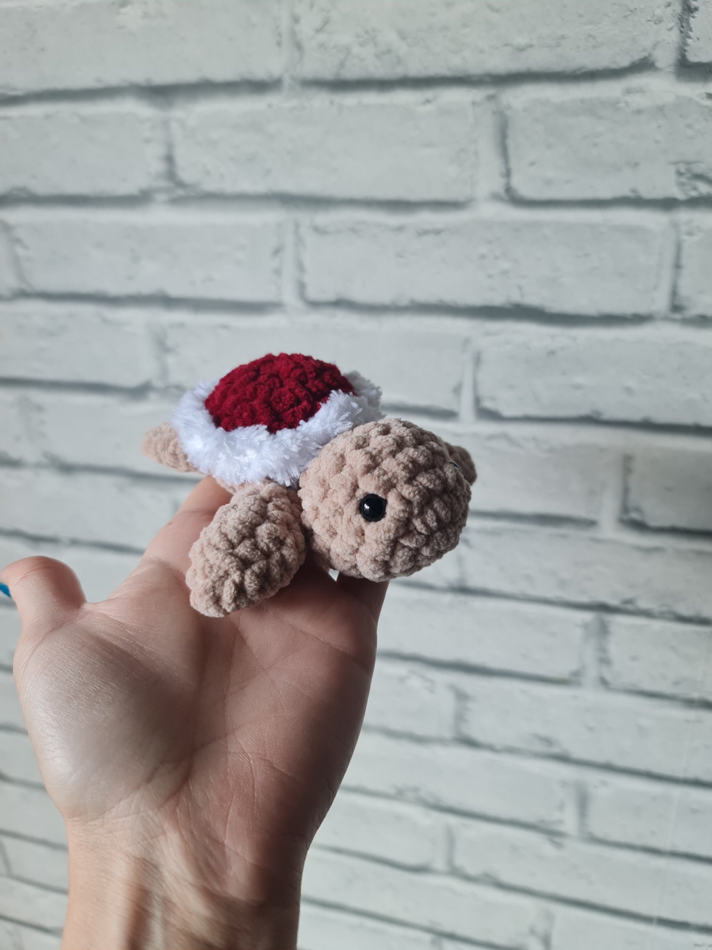 Mini tortue rouge