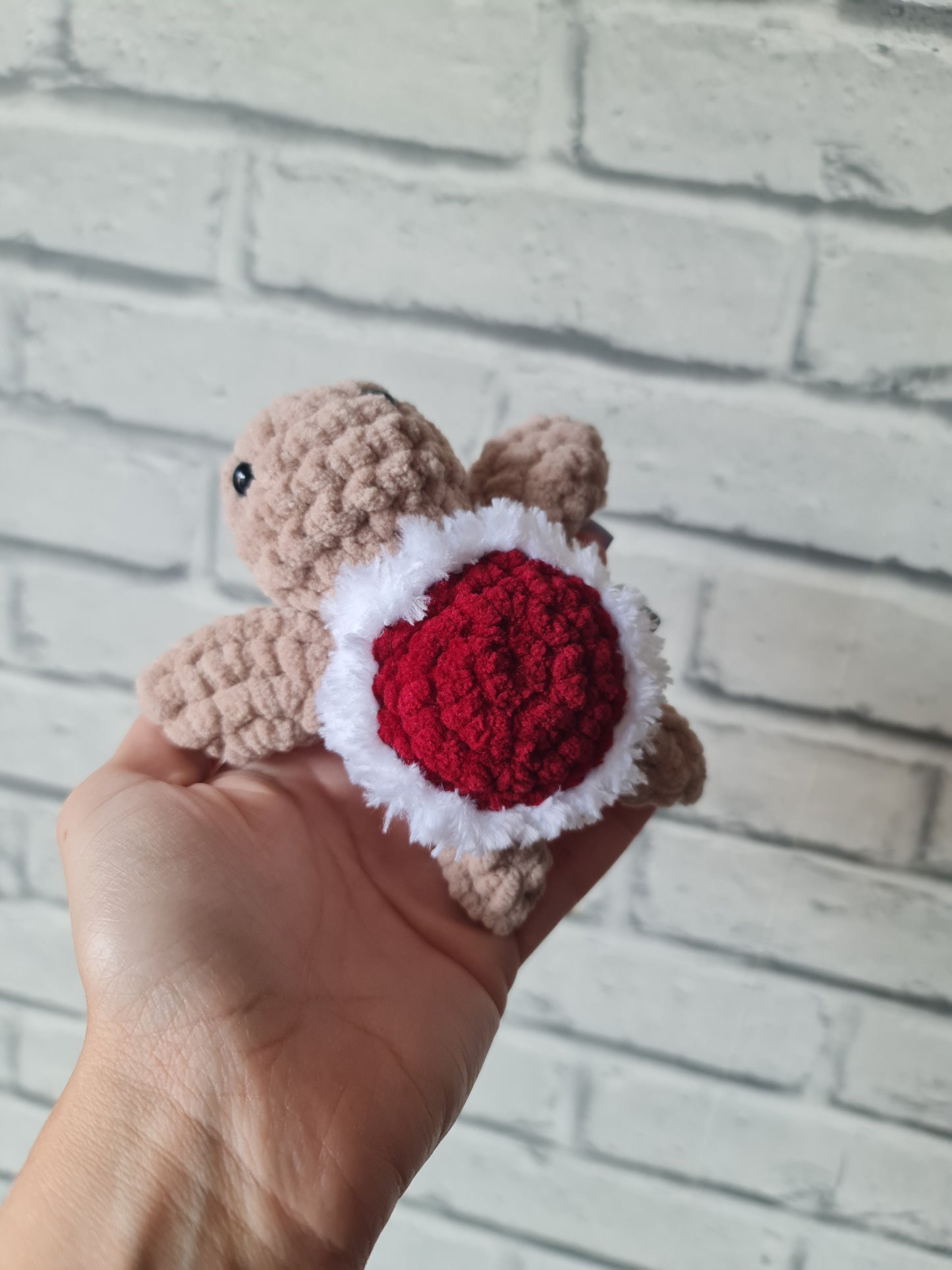 Mini tortue rouge