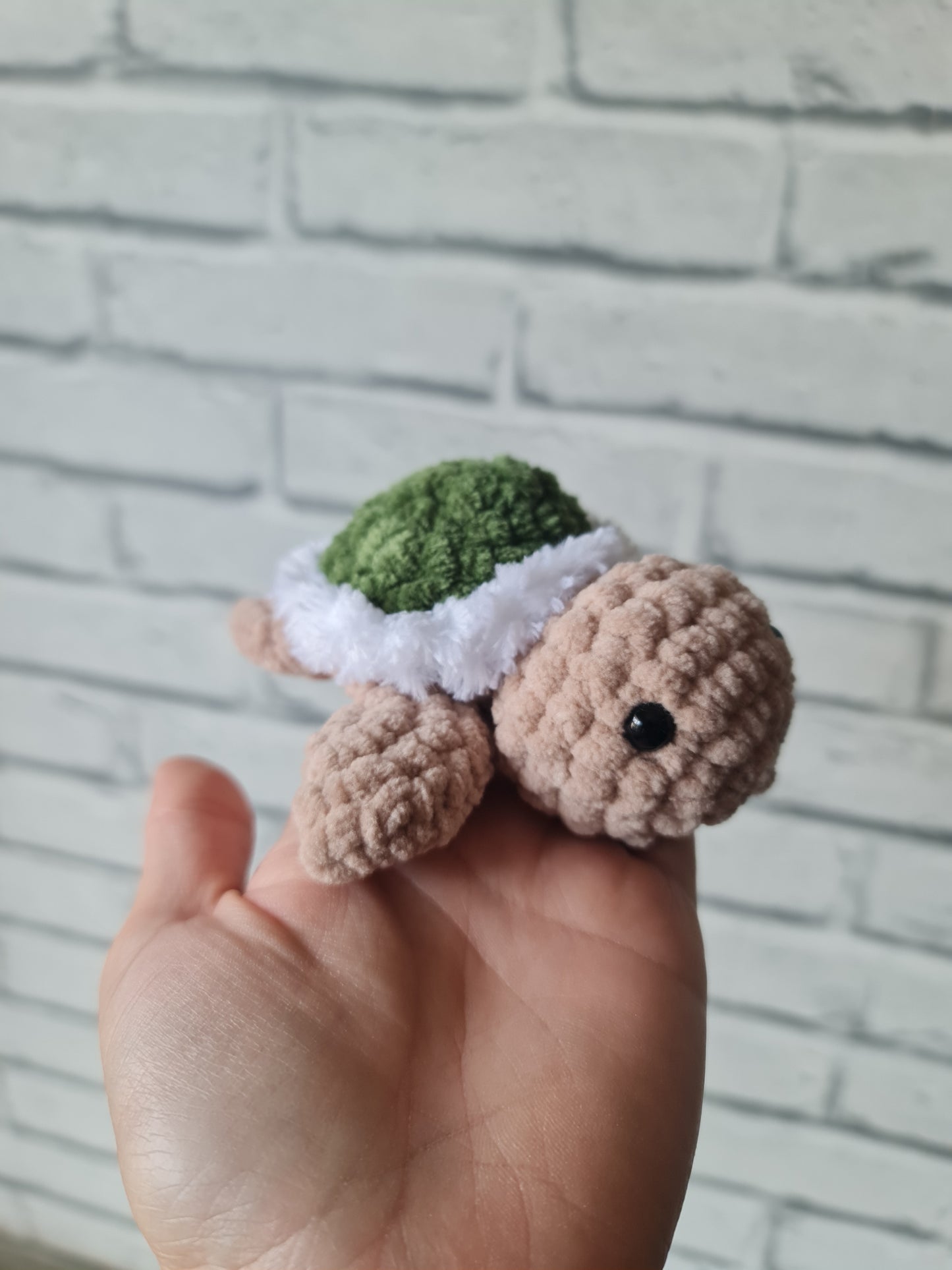 Mini tortue verte