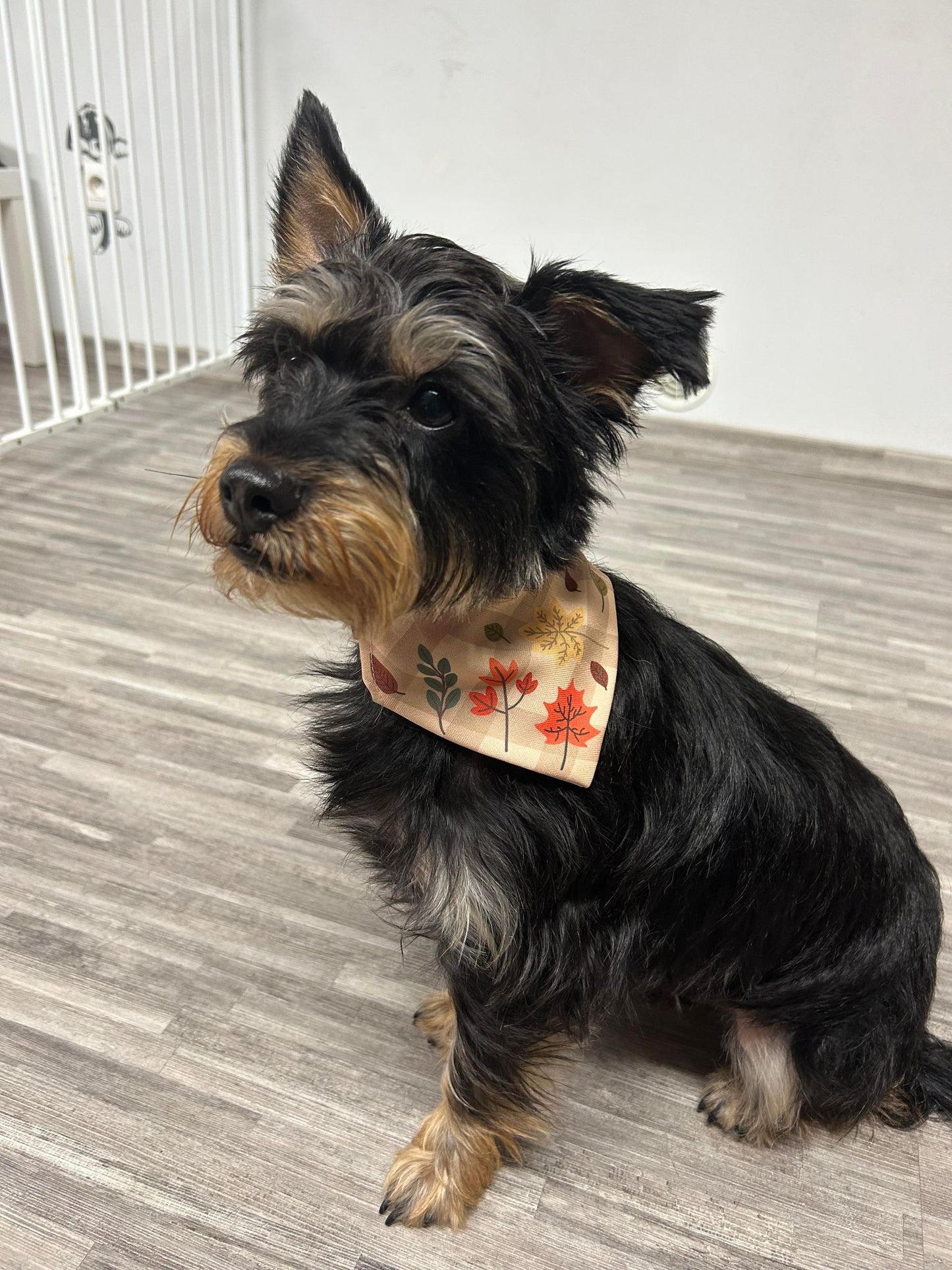 Bandana (Automne)