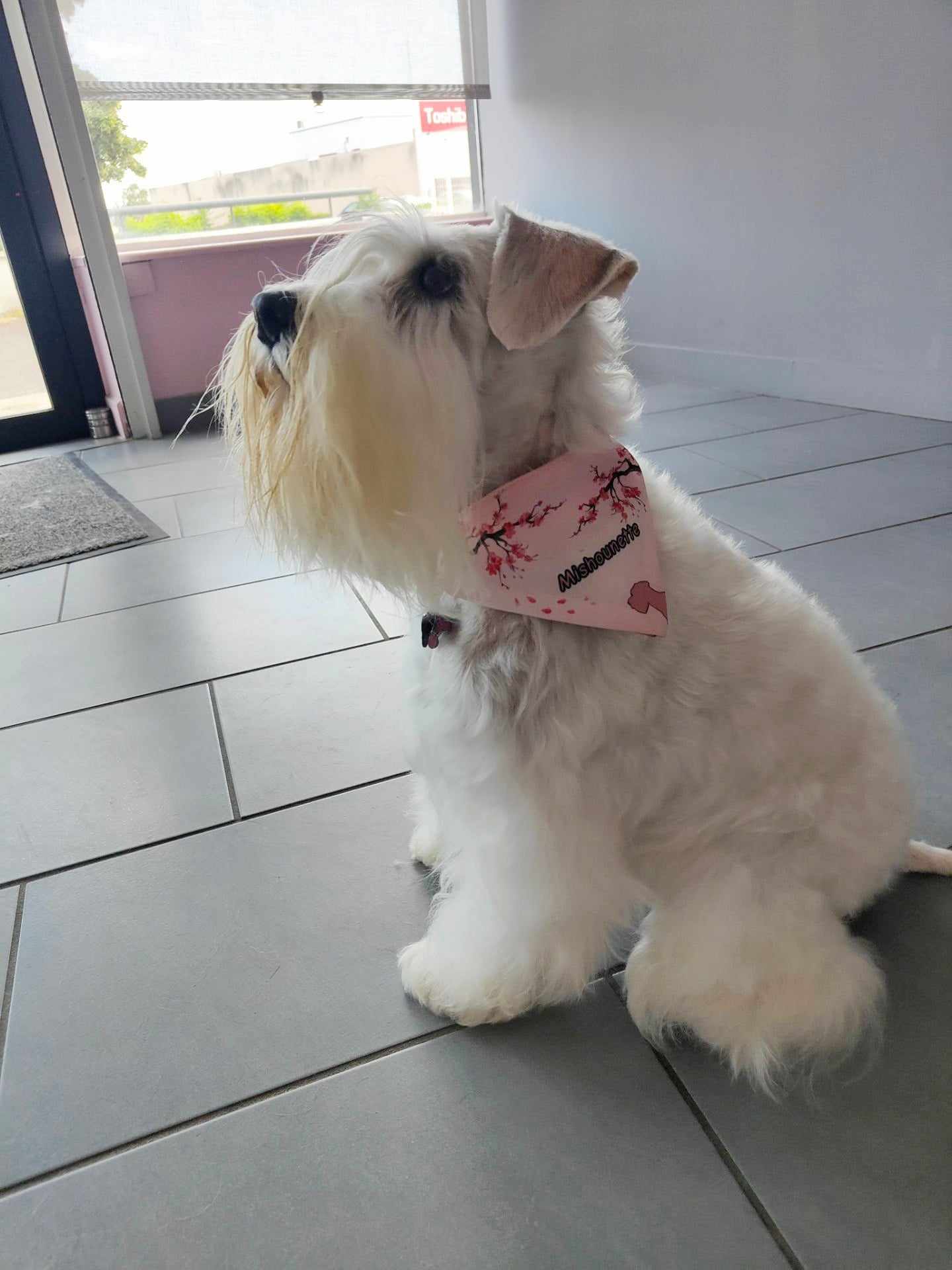 Bandana (Fleur de cerisier)