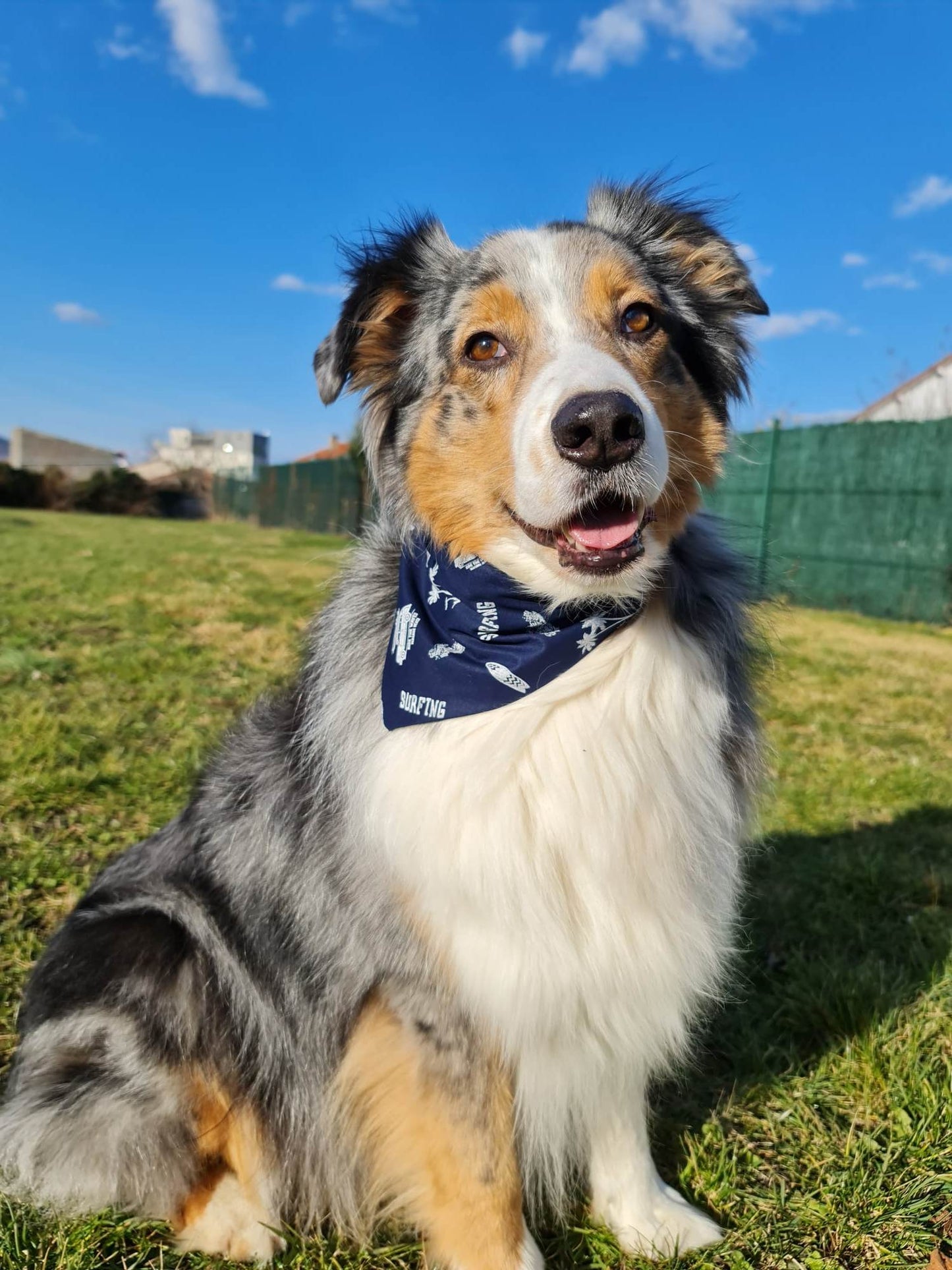 Bandana (Surf)