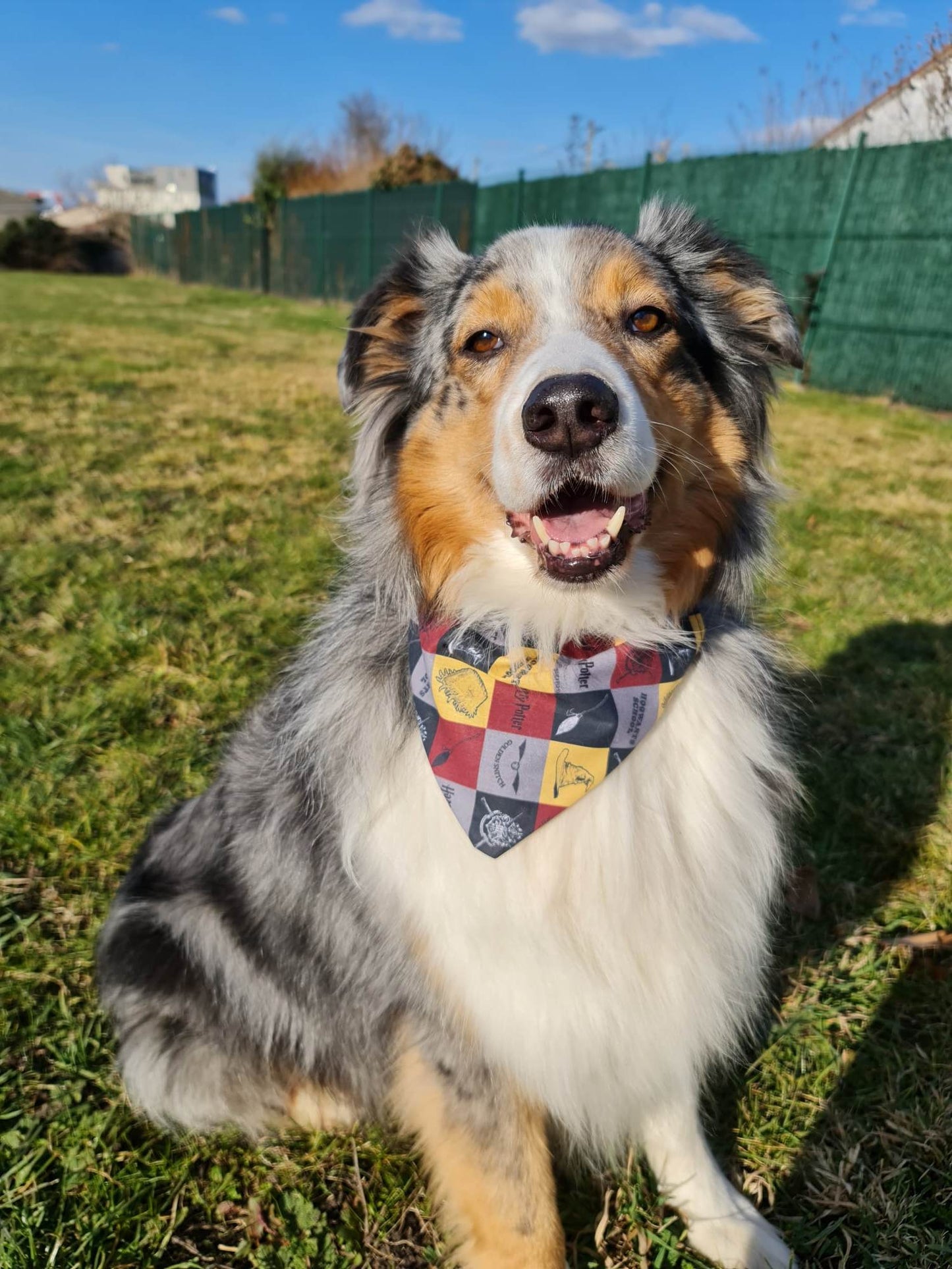 Bandana (Sorcier)