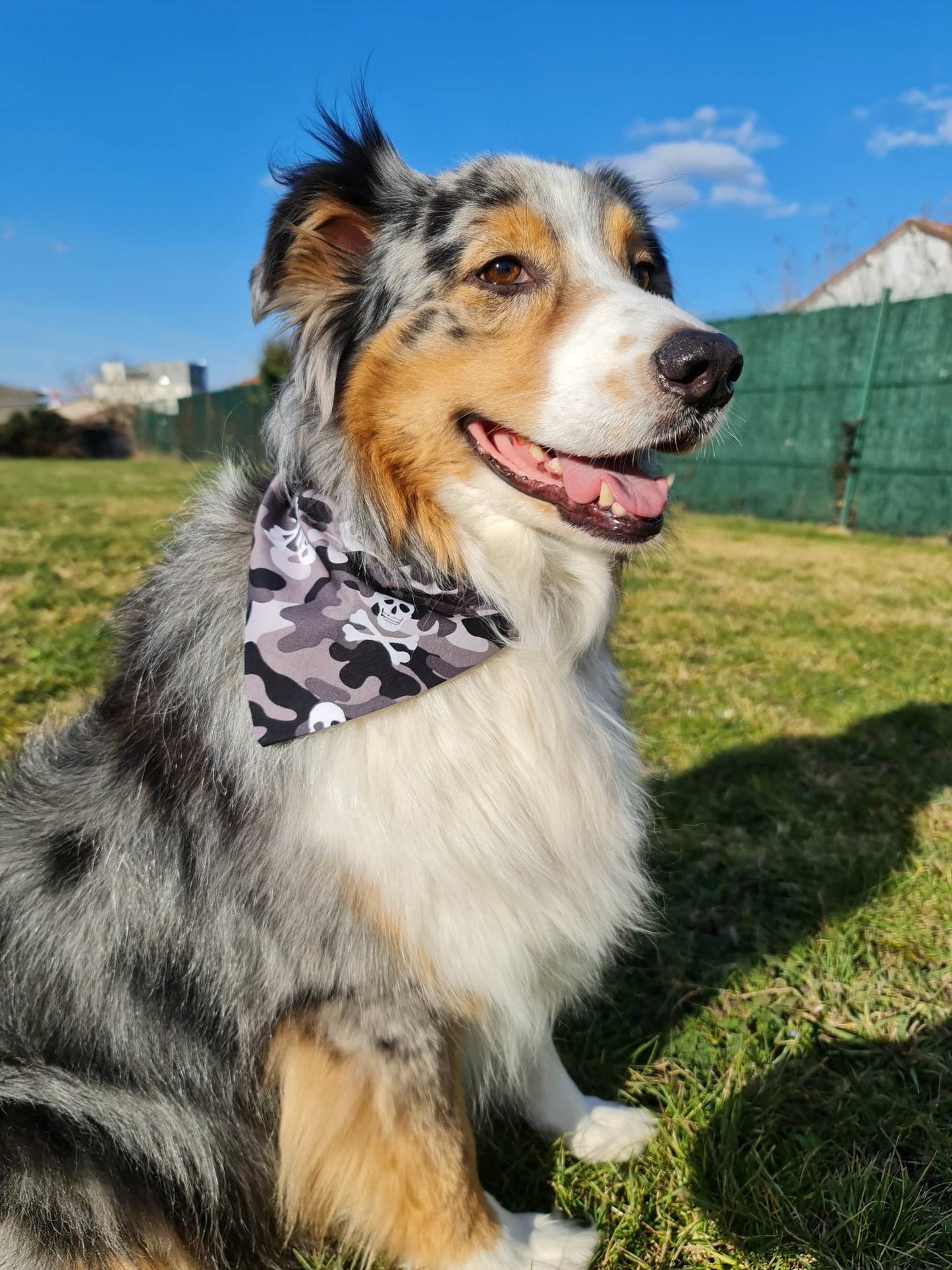 Bandana (Skull Militaire Marron)