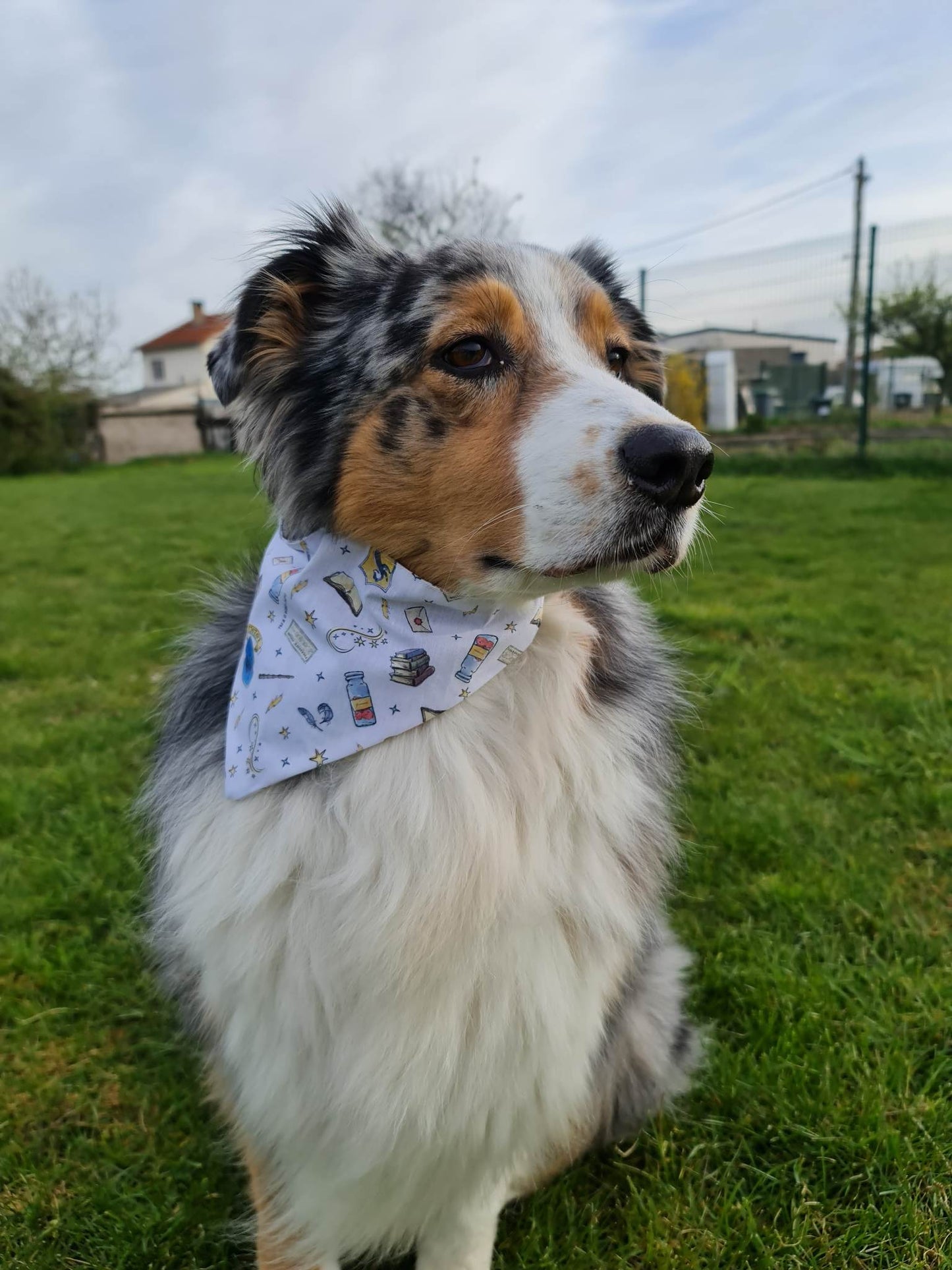 Bandana (Magie)