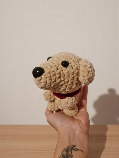 Chien marron clair