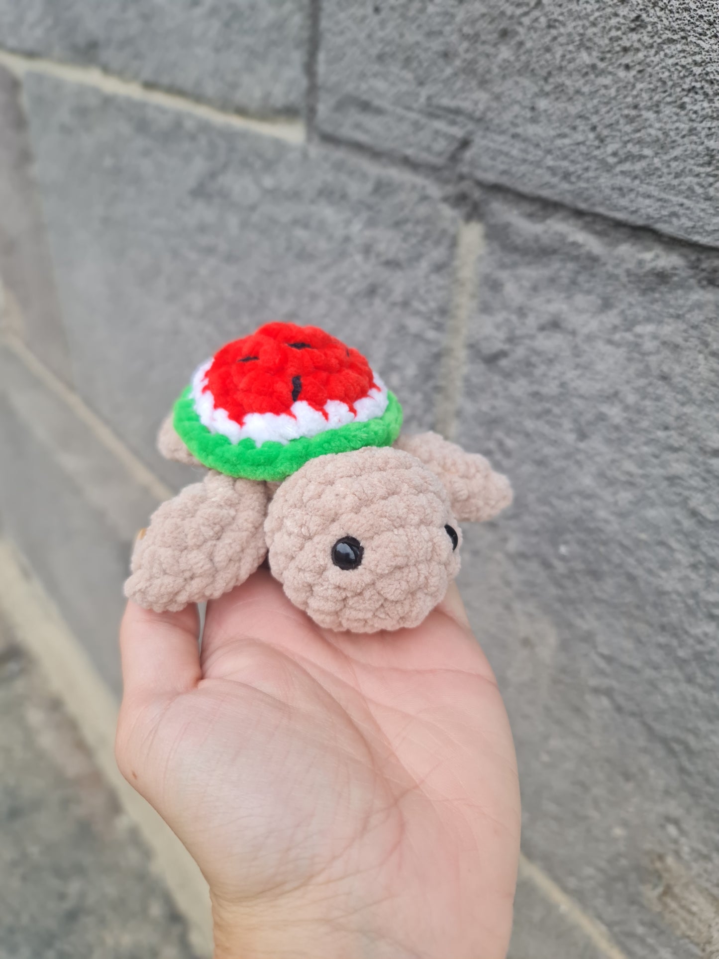 Mini tortue pastèque