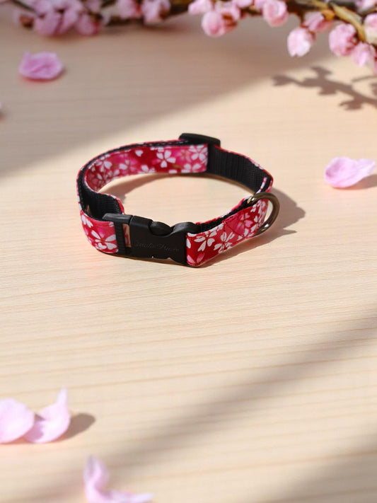 Collier (Flower)