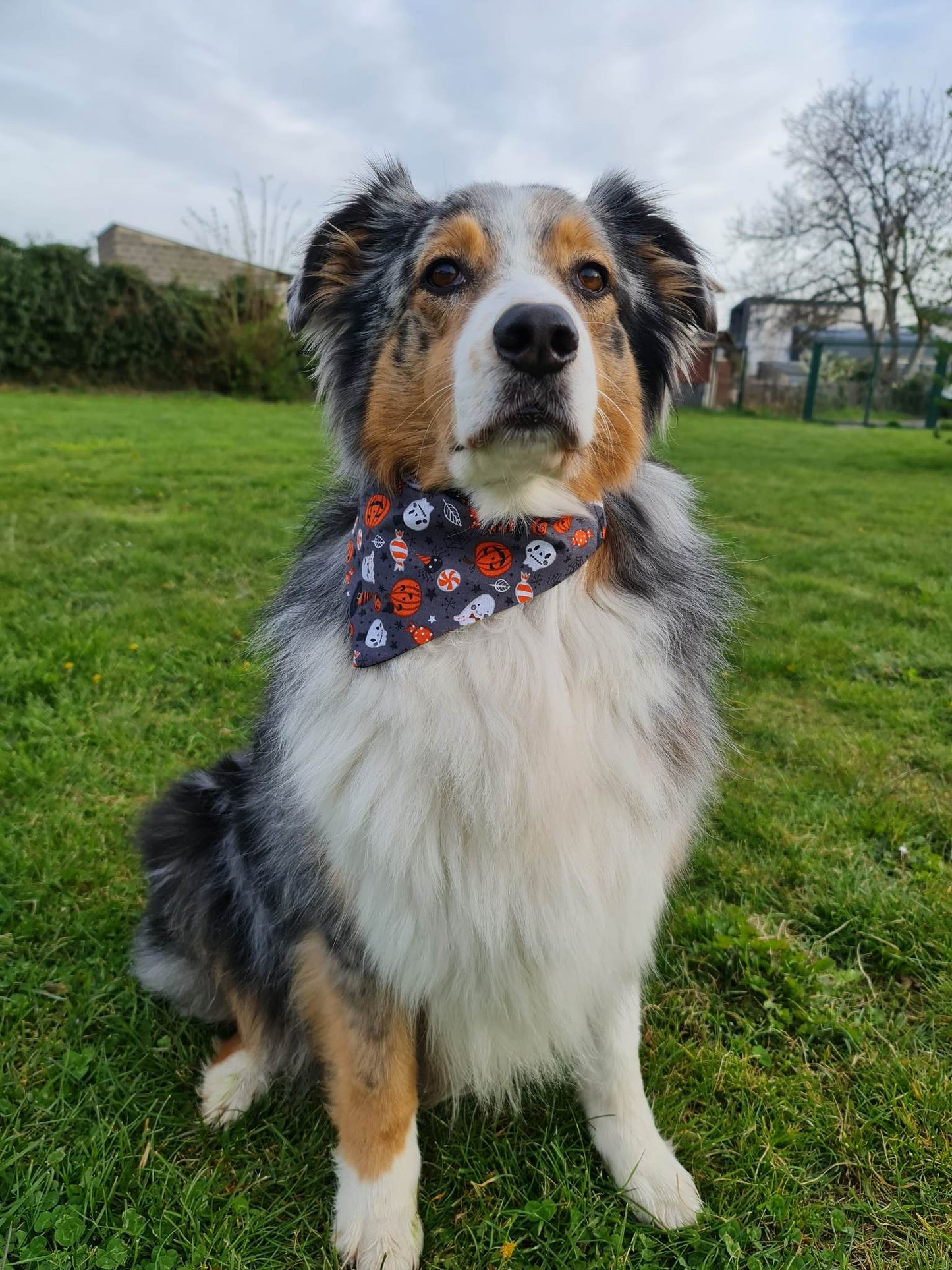 Bandana (Halloween)