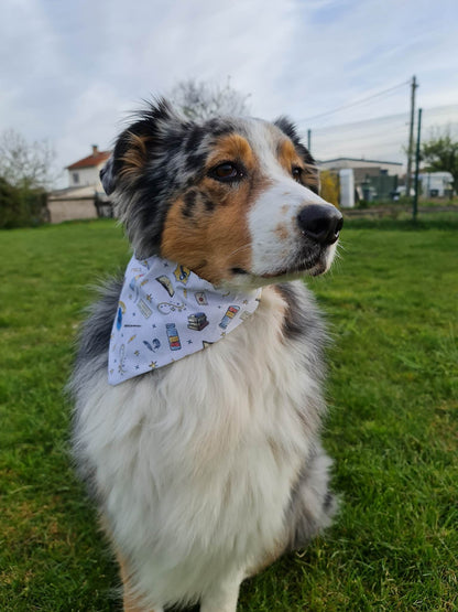 Bandana (Magie)